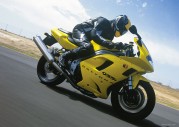 Triumph Daytona 955i Triumph Daytona 955i